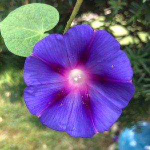 Meet your Posher, Krista